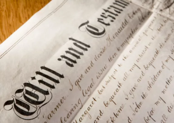 Single tree on horizon